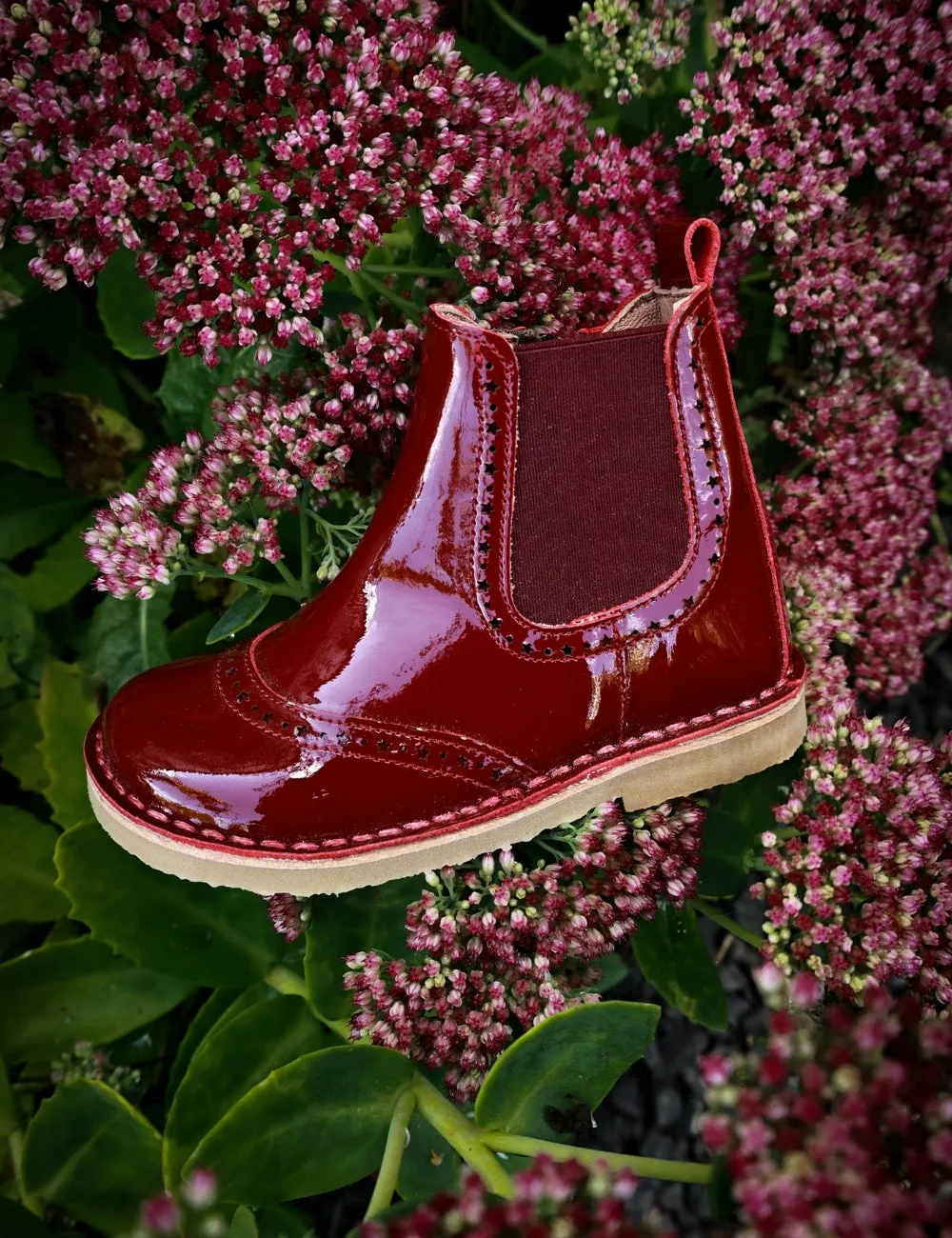 Ankle Boot Stars - Cherry Patent